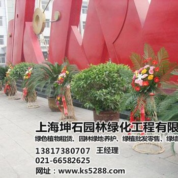 坤石園林圖蘇州租觀賞植物的公司租觀賞植物