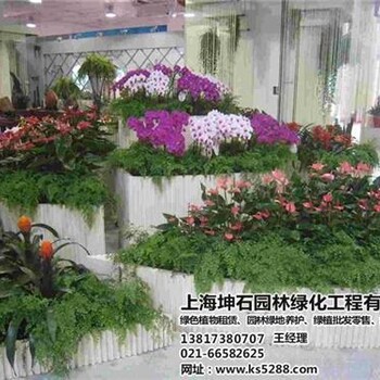 租觀賞植物_坤石園林圖_楊浦租觀賞植物