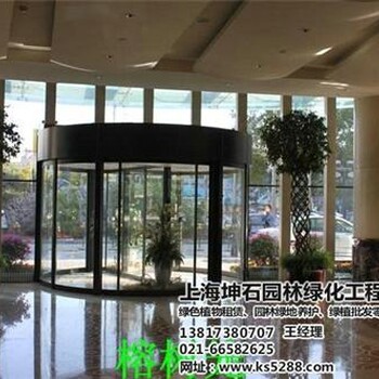 虹口租觀賞植物租觀賞植物坤石園林
