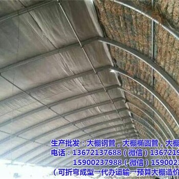 大棚建设_刘姐图_大棚建设预算