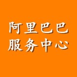 天津阿里巴巴_诚信通，国际站天津代理_阿里巴巴店铺运营托管图片0