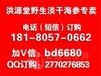 范县活海参多少钱一斤60头海参价格