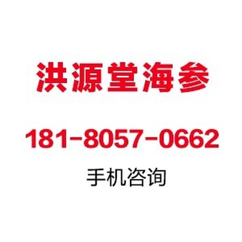 江门市大连海参多少钱一斤干海参的价格表50克