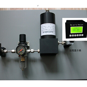 DMT364G在线式氢气露点（湿度）分析仪
