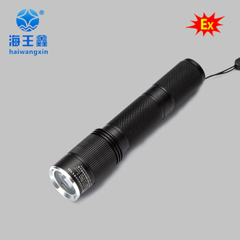 厂家供应便携式防爆手电RWX7620固态微型防爆电筒