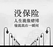 社保代理图片3