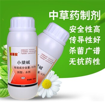 番茄潰瘍病怎么治-有機農藥青枯立克