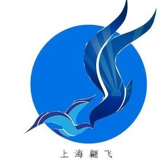 上海翩飞自动化科技有限公司