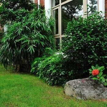 私家花園景觀施工,紹興私家花園景觀,一禾園林在線咨詢