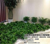 坤石园林图上海观叶植物租赁观叶植物租赁