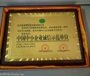 浙江中国行业十大品牌荣誉证书需要多少钱呢华南代表恒佰公司图片