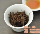 荔花村英德红茶茶荔花村图片