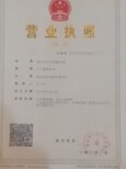 求购红薯苗-脱毒红薯苗-诚信守时欢迎致电图片5