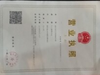 商薯19高淀粉红薯苗图片4