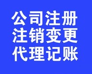 13年经验公司注册，变更，注销，商标，代理记帐年检，企业退税图片2