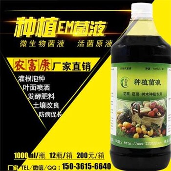 西红柿灌根冲施用的em菌液厂家联系方式