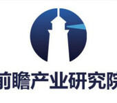 2019版中国工业自动控制系统装置公司发展蓝皮书