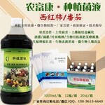 西红柿防根腐病用的生物药怎么买