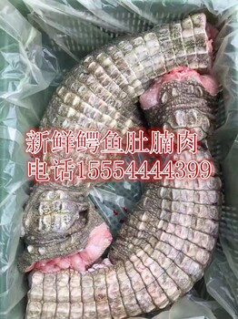 鳄鱼养殖场鳄鱼肉现在市场价格