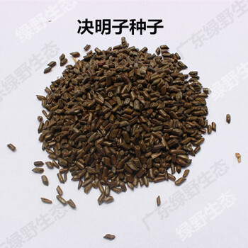 綠態(tài)銷售綠化草種，抗旱草種，耐熱草種，護(hù)坡草種.無紡布