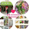 乐小萌良食铺总店在哪？乐小萌怎么代理