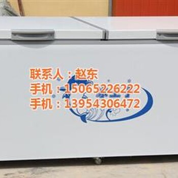 臥式展示冰柜價(jià)格東營(yíng)臥式展示冰柜盛世凱迪在線咨詢