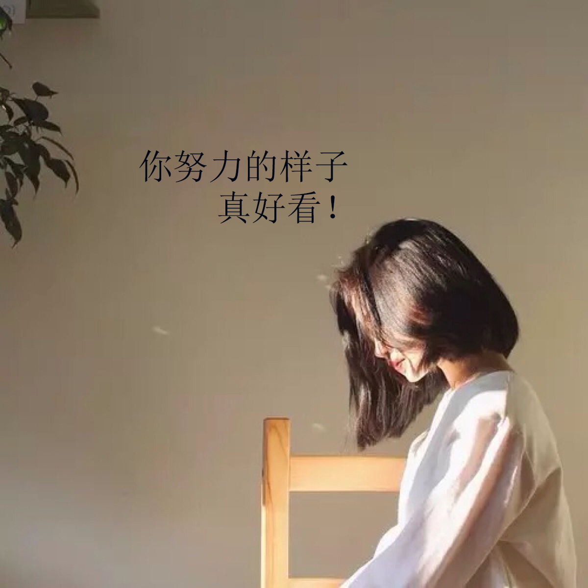 王洪颜的头像