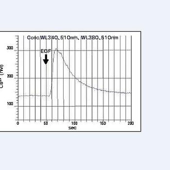 钙离子浓度检测