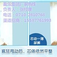 婴儿用品,盈乐卫生用品,婴儿用品加盟店排行榜