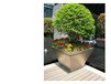 广州花箱设计领先者_广州柏思园林景观设计_推荐花箱设计