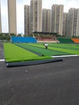 唐山市人造草坪生产厂家选华飞图片0