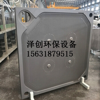 供應(yīng)各種廂式隔膜濾板及壓濾機(jī)高壓隔膜濾板增強(qiáng)聚丙烯濾板