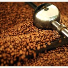 购买口碑好的咖啡豆当选芙茵咖啡庄园_咖啡豆价格范围图片