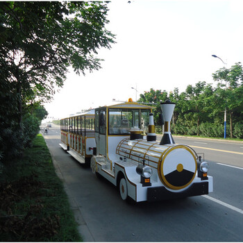 娄底买游观小光车哪家好-深圳旅游观光火车