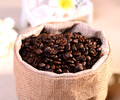 保山哪家公司的咖啡销量好购买有保障的精品咖啡当选芙茵咖啡庄园