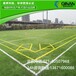 上海市热卖的人造草坪足球场供应足球场地人造草坪