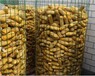 厂家直销标准圈玉米网，河北圈玉米网优质供应商推荐