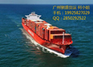 广州到加拿大海运散货国际海运专线