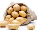 河北土豆淀粉价格——哪儿有批发实惠的马铃薯淀粉
