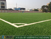 上海好用的人造草坪足球场——建设五人制足球场