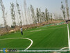 要买优质的人造草坪足球场，当选秦岸环保科技——五人制球场建设