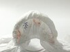 泉州实用的纸尿裤，质量有保证北京微萌纸尿裤