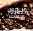 哪里有供应好的精品咖啡——精品咖啡的介绍