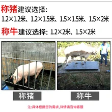 畜牧地磅豬欄稱電子畜牧稱動物電子地磅廠家