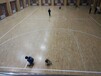 辽宁地区具有口碑的运动木地板怎么样-湖南运动木地板