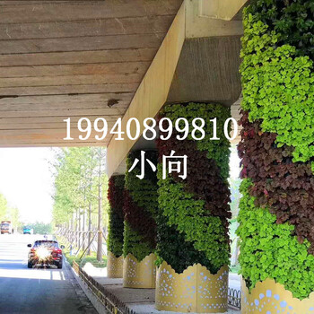 綠雕植物綠雕_景觀綠雕仿真綠雕雕塑廠定制