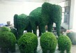 成都造型绿雕厂家定制可爱的大象绿雕定制出售绿雕定制中心