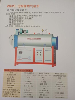 银晨集团洛阳百阳丰锅炉导热油炉工作原理品质总代