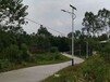 高质量的新农村太阳能路灯推荐-柳州LED路灯