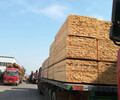 甘肅木方-奇億工貿提供的方木價錢怎么樣